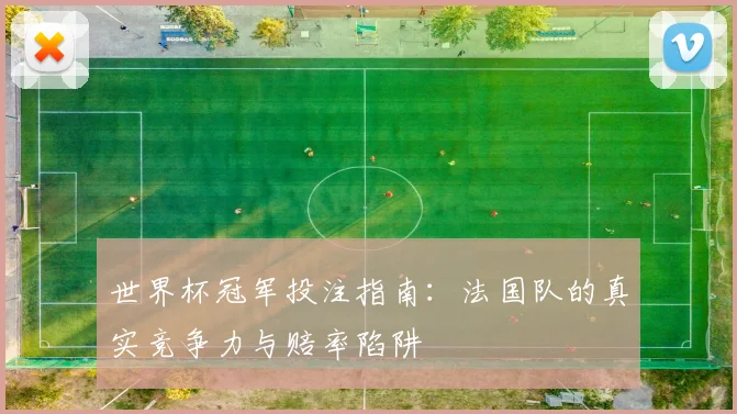 世界杯冠军投注指南：法国队的真实竞争力与赔率陷阱