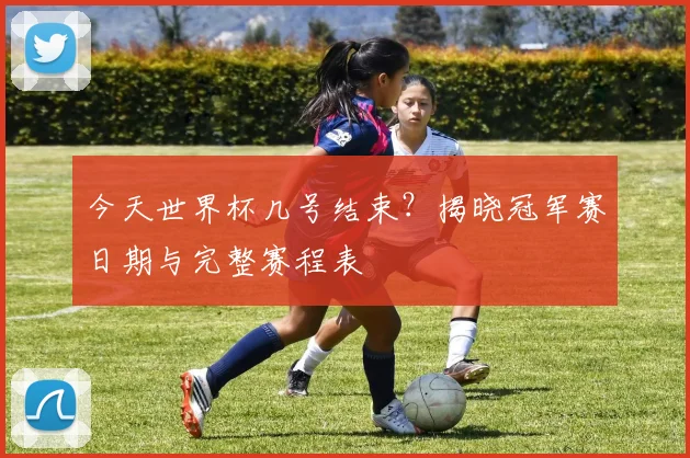 今天世界杯几号结束?揭晓冠军赛日期与完整赛程表