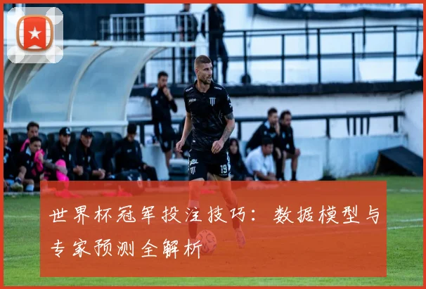 世界杯冠军投注技巧：数据模型与专家预测全解析