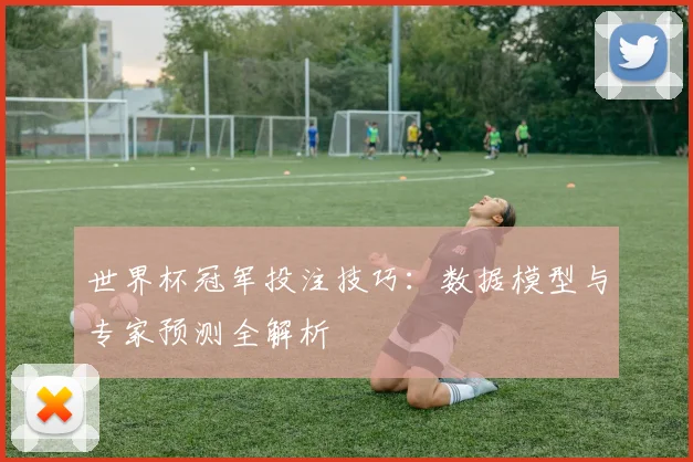 世界杯冠军投注技巧：数据模型与专家预测全解析