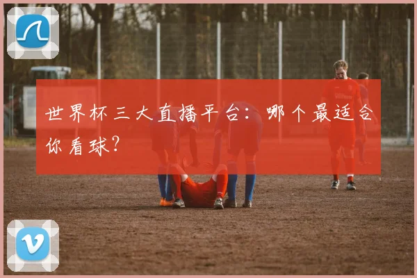 世界杯三大直播平台：哪个最适合你看球？