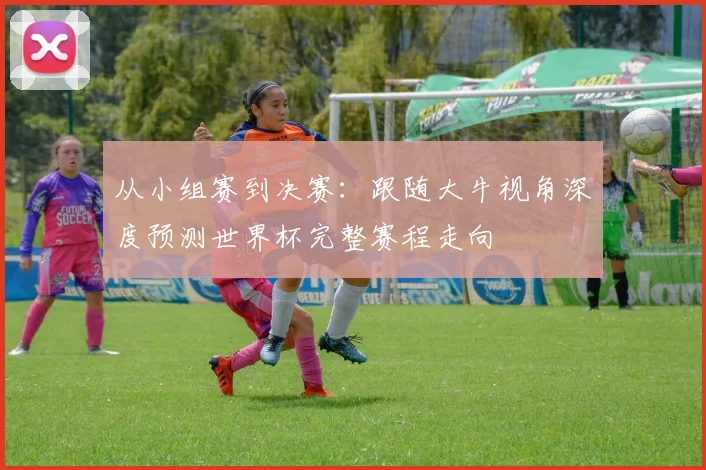 从小组赛到决赛:跟随大牛视角深度预测世界杯完整赛程走向