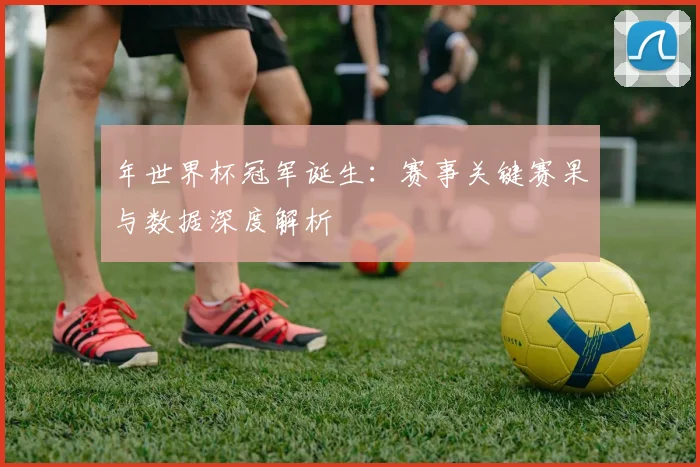 年世界杯冠军诞生：赛事关键赛果与数据深度解析